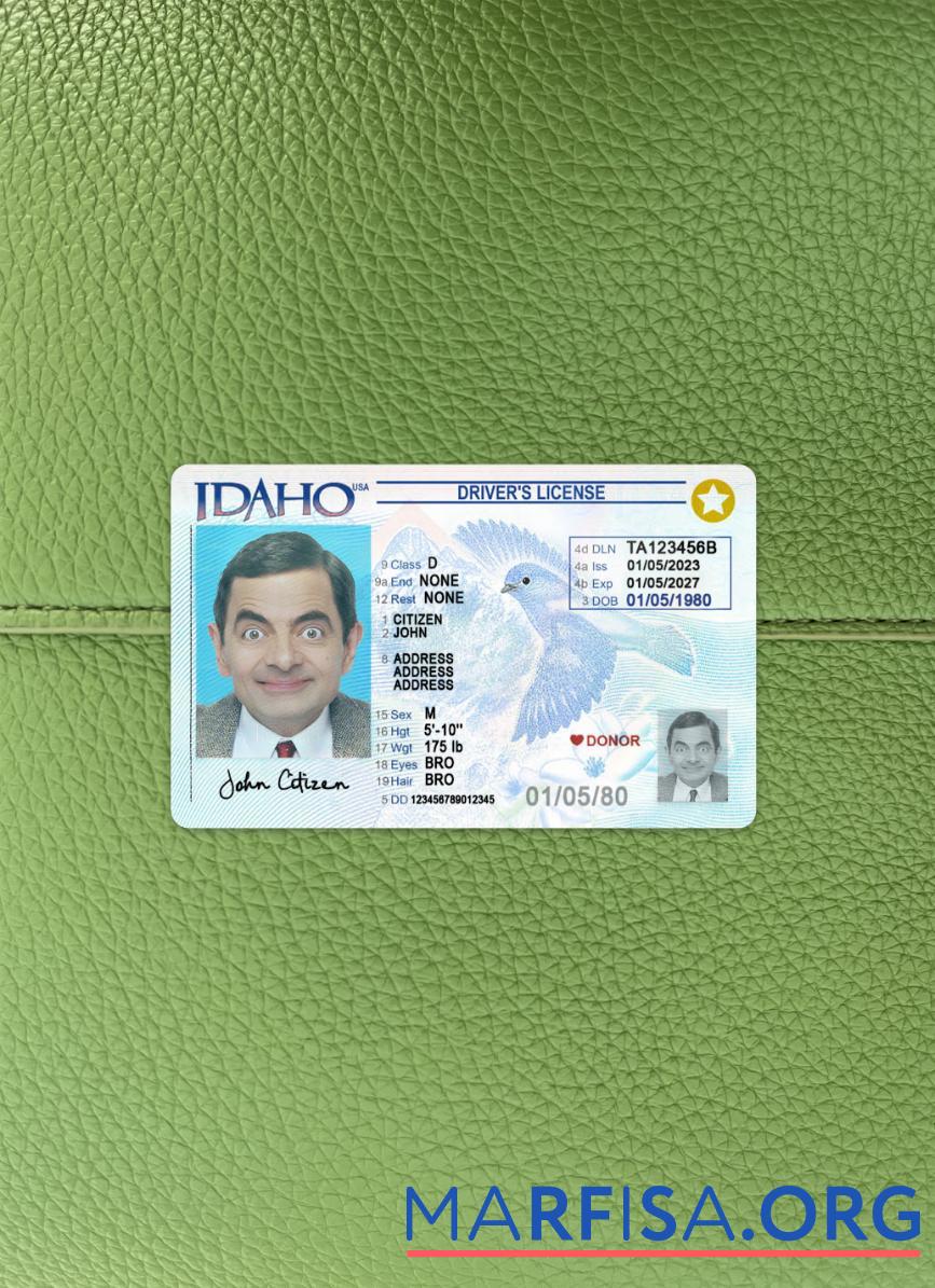 Blank USA Idaho driving license 2023 present photolook download for verification